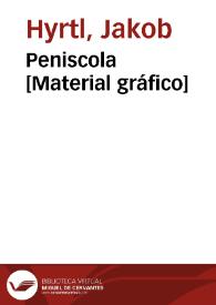 Peniscola [Material gráfico] | Biblioteca Virtual Miguel de Cervantes