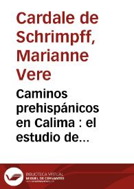 Caminos prehispánicos en Calima : el estudio de caminos precolombinos de la cuenca del alto río Calima, Cordillera Occidental, Valle del Cauca | Biblioteca Virtual Miguel de Cervantes