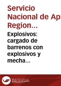 Explosivos: cargado de barrenos con explosivos y mecha de seguridad - Módulo No. 3 | Biblioteca Virtual Miguel de Cervantes