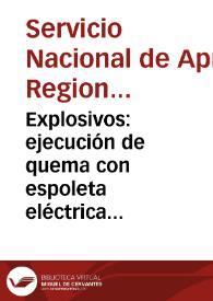 Explosivos: ejecución de quema con espoleta eléctrica - Módulo No. 6 | Biblioteca Virtual Miguel de Cervantes