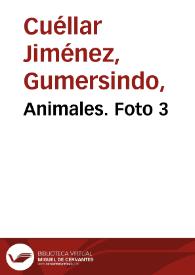 Animales. Foto 3 | Biblioteca Virtual Miguel de Cervantes