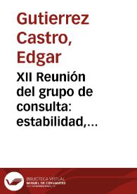 XII Reunión del grupo de consulta: estabilidad, crecimiento y equidad | Biblioteca Virtual Miguel de Cervantes